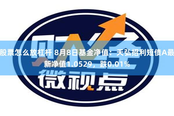 股票怎么放杠杆 8月8日基金净值：天弘招利短债A最新净值1.0529，跌0.01%