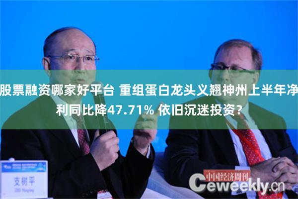 股票融资哪家好平台 重组蛋白龙头义翘神州上半年净利同比降47.71% 依旧沉迷投资？