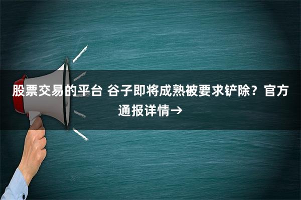 股票交易的平台 谷子即将成熟被要求铲除？官方通报详情→