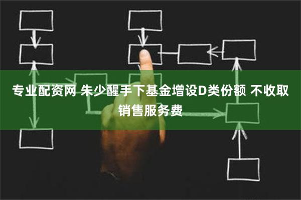 专业配资网 朱少醒手下基金增设D类份额 不收取销售服务费