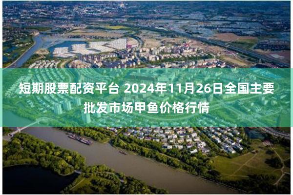 短期股票配资平台 2024年11月26日全国主要批发市场甲鱼价格行情