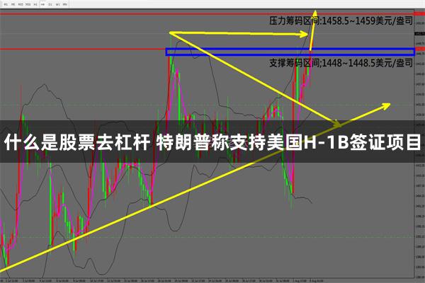 什么是股票去杠杆 特朗普称支持美国H-1B签证项目