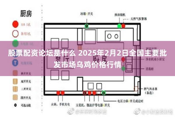 股票配资论坛是什么 2025年2月2日全国主要批发市场乌鸡价格行情